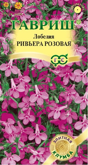 Лобелия Ривьера Розовая длинночерешковая однолетник 4шт (Гавриш)