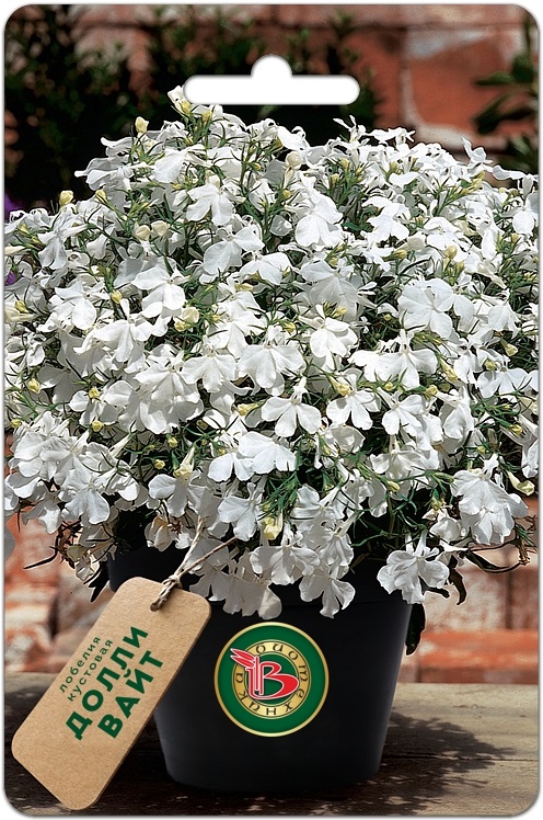 Лобелия Долли Вайт кустовая однолетник 10шт (Биотехника)