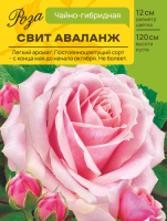 Роза Свит Аваланж (Чайно-гибридная) С ЦВ.НАКЛЕЙКОЙ 1шт (Сиб сад)