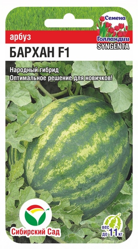 Арбуз Бархан F1 4шт (Сиб Сад)
