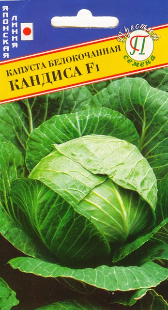 Капуста белокочанная Кандиса F1 20шт (Престиж)