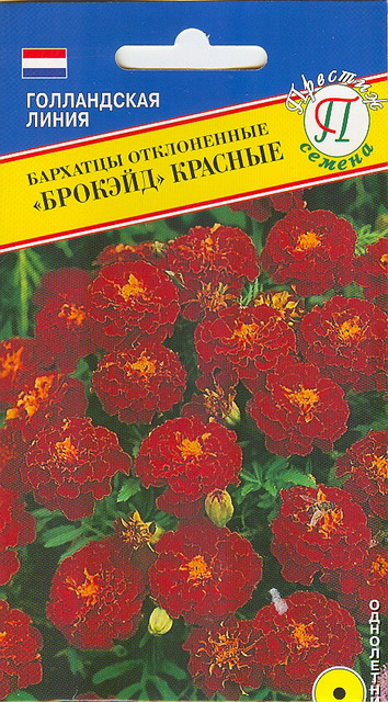 Бархатцы Брокэйд Красные однолетник 20шт (Престиж)