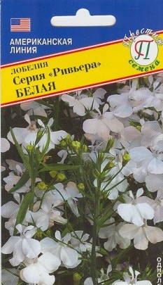 Лобелия Ривьера Белая однолетник 5мдр (Престиж)
