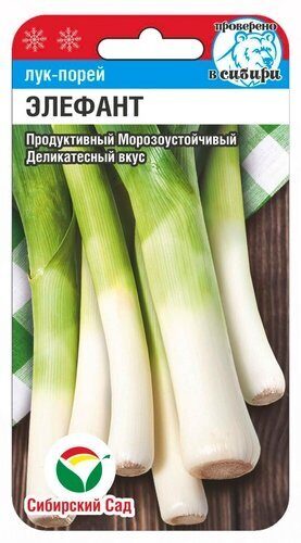 Лук Порей Элефант 0,5гр (Сиб Сад)