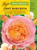 Роза Свит Вувузела (Чайно-гибридная) С ЦВ.НАКЛЕЙКОЙ 1шт (Сиб сад)