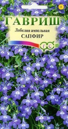 Лобелия Сапфир длинночерешковая однолетник 0,05г (Гавриш)