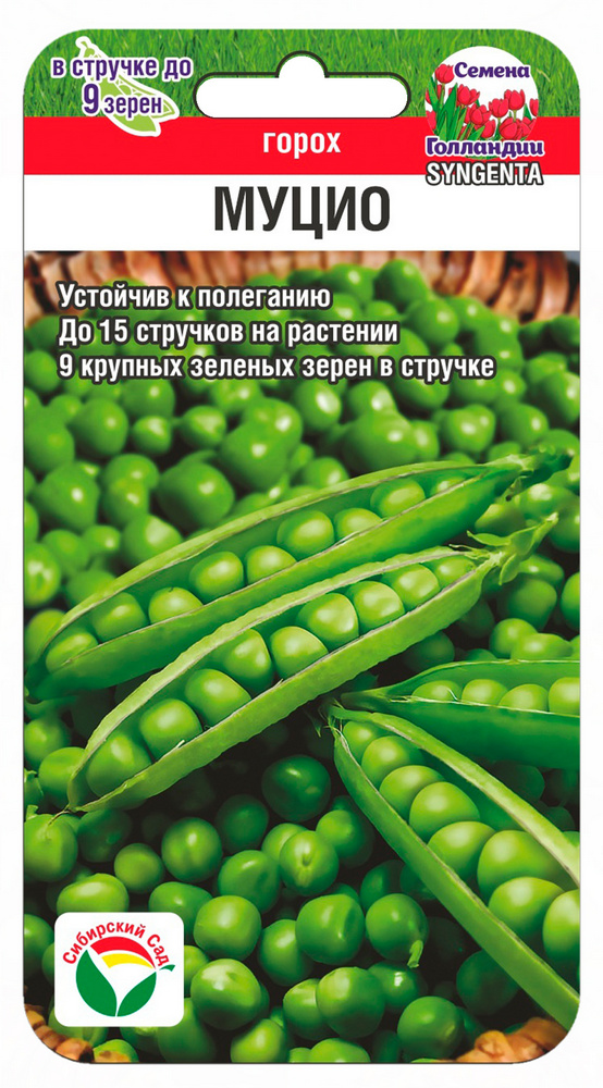 Горох Муцио 4г (Сиб Сад)