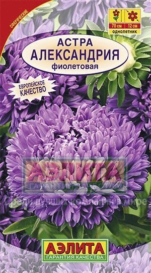Астра Александрия Фиолетовая однолетник 0,1г (Аэлита)