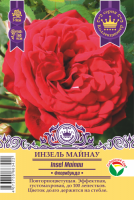 Роза Инзель Майнау (Флорибунда) 1шт (Сиб сад)