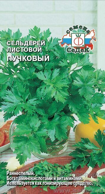 Сельдерей Пучковый листовой 0,5г (Седек)