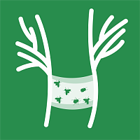 Ловушки и ловчие пояса