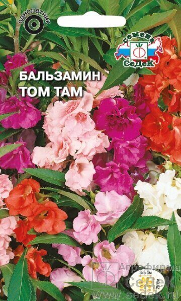 Бальзамин Том Там смесь однолетник 0,2г (Седек)