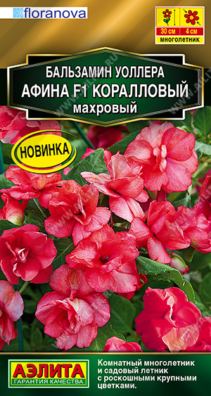 Бальзамин Афина F1 Коралловый махровый однолетник 5шт (Аэлита)