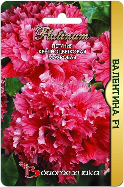 Петуния Валентина F1 махровая крупноцветковая однолетник 10шт (Биотехника)