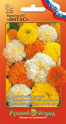 Бархатцы Битлс F1 смесь ПРОФИ 12шт (НК)