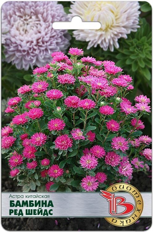 Астра Бамбина Ред Шейдс китайская однолетник 20шт (Биотехника) 126035