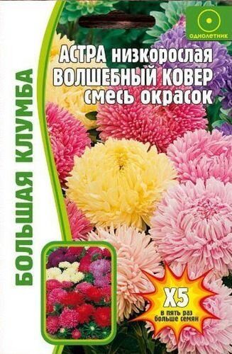 Астра Волшебный Ковер смесь низкорослая 0,2г (Ред.Сем)