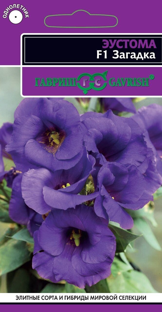 Эустома Загадка F1 низкорослая 4шт (Гавриш)