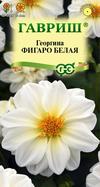 Георгина Фигаро белая низкорослая однолетник 7шт (Гавриш)