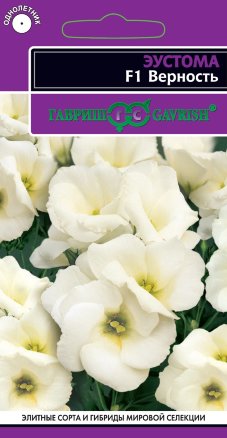 Эустома Верность белая F1 низкорослая 4шт (Гавриш)