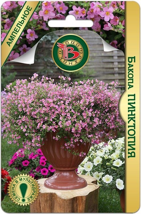 Бакопа Пинктопия однолетник 5шт (Биотехника)