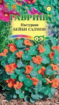 Настурция Бейби салмон однолетник 1г  (Гавриш)
