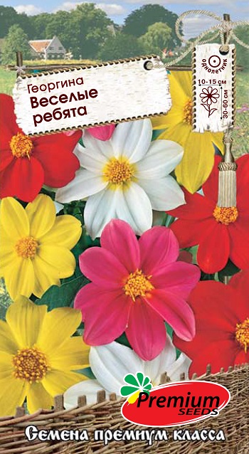 Георгина Веселые ребята смесь однолетник 0,2г (Премиум)