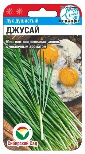 Лук Душистый Джусай 0,5гр (Сиб Сад)