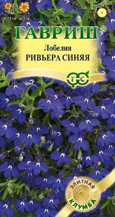 Лобелия Ривьера Синяя Элитная клумба однолетник 4шт (Гавриш)