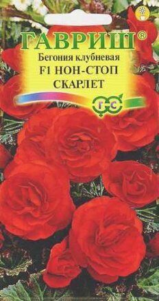 Бегония Нон-стоп F1 Скарлет клубневая 4шт (Гавриш)