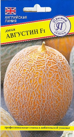 Дыня Августин F1 3шт (Престиж)
