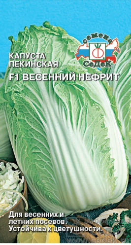 Капуста пекинская Весенний нефрит F1 (Седек)