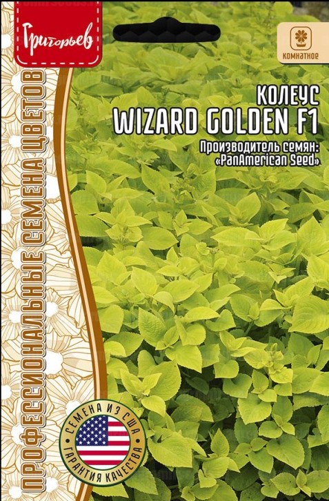 Колеус Wizard Golden F1 5шт (Ред.сем)