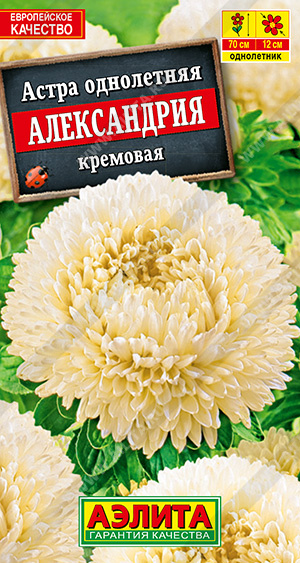 Астра Александрия Кремовая однолетник 0,1г (Аэлита)