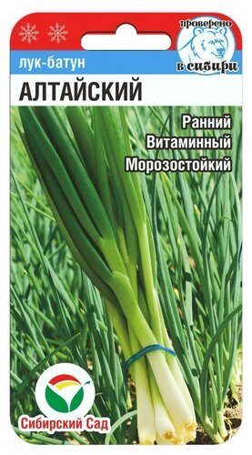 Лук Батун Алтайский 0.5гр (Сиб Сад)