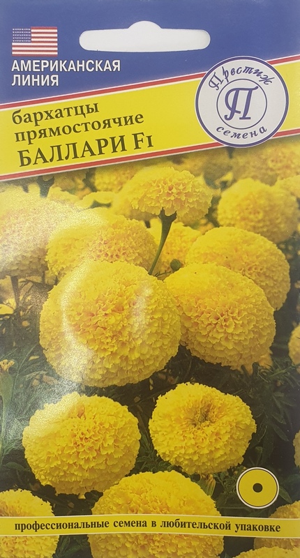 Бархатцы Баллари F1 однолетник 5шт (Престиж)
