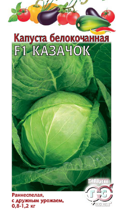 Капуста белокочанная Казачок F1 10шт (Гавриш)