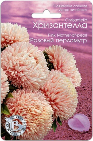 Астра ХРИЗАНТЕЛЛА Розовый перламутр однолетник 30шт (Биотехника)