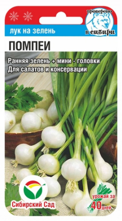 Лук на зелень Помпеи 0,5гр (Сиб Сад)