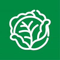 Капуста