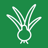 Луковичные