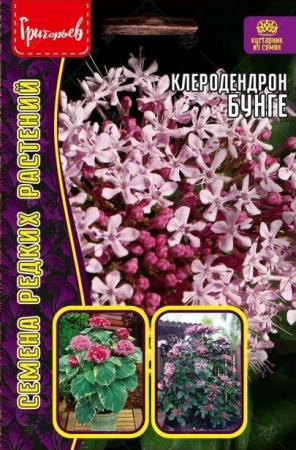 Клеродендрон Бунге 0,2г  (Ред.сем)