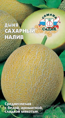 Дыня Сахарный налив 0,5г (Седек)