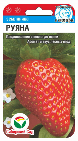 Земляника Руяна 10шт (Сиб Сад)
