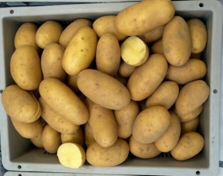Картофель Королева Анна 1 репродукция 1кг (Россия)