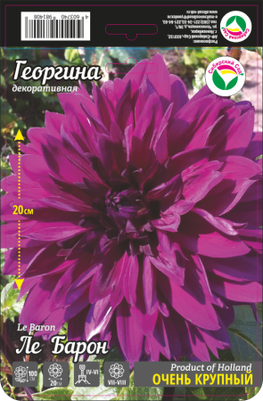 Георгина Ле Барон 1шт (Сиб сад)