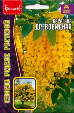 Карагана Древовидная 10шт (Ред.Сем)