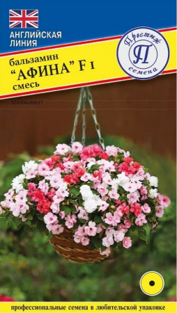 Бальзамин Уоллера Афина смесь однолетник 3шт (Престиж)
