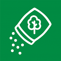 Семена Деревьев и Кустарников