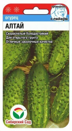 Огурец Алтай 7шт (Сиб сад)